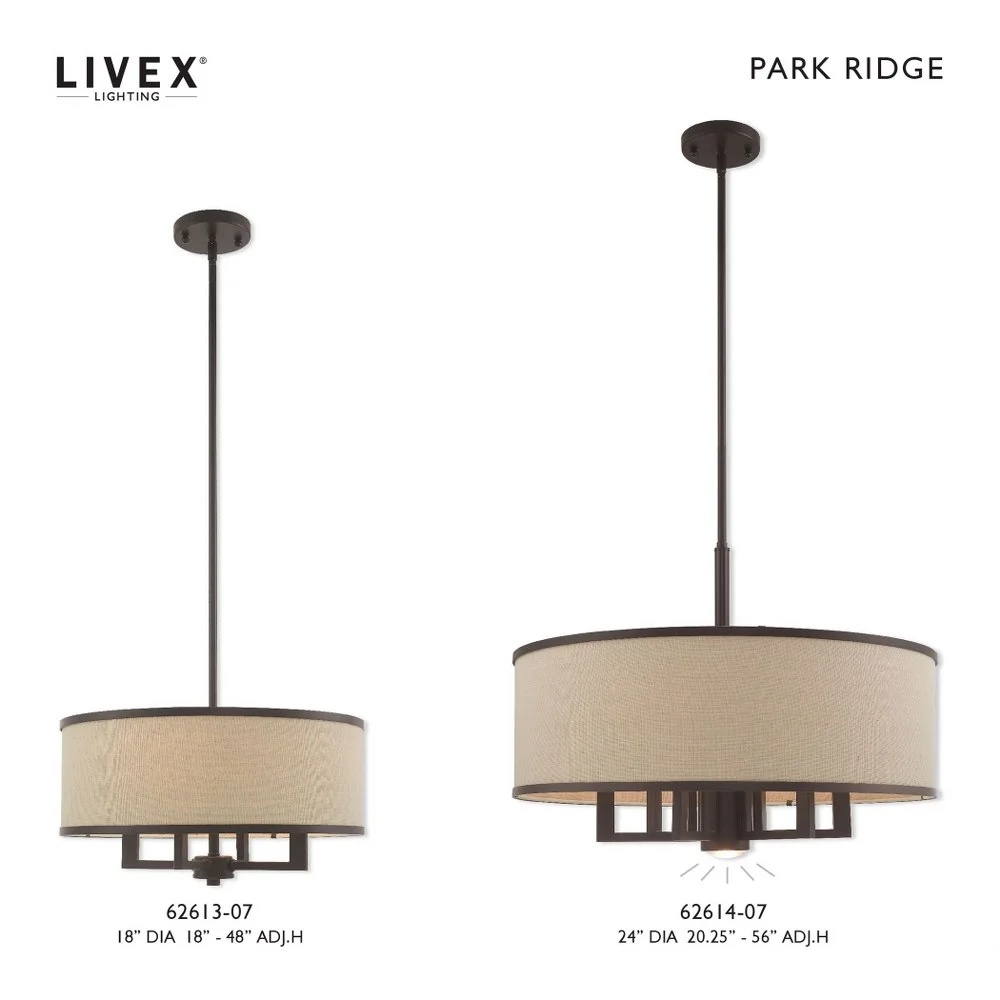 Livex Lighting Park Ridge Chandelier in Hand Painted Antique Gold Leaf - Image 17