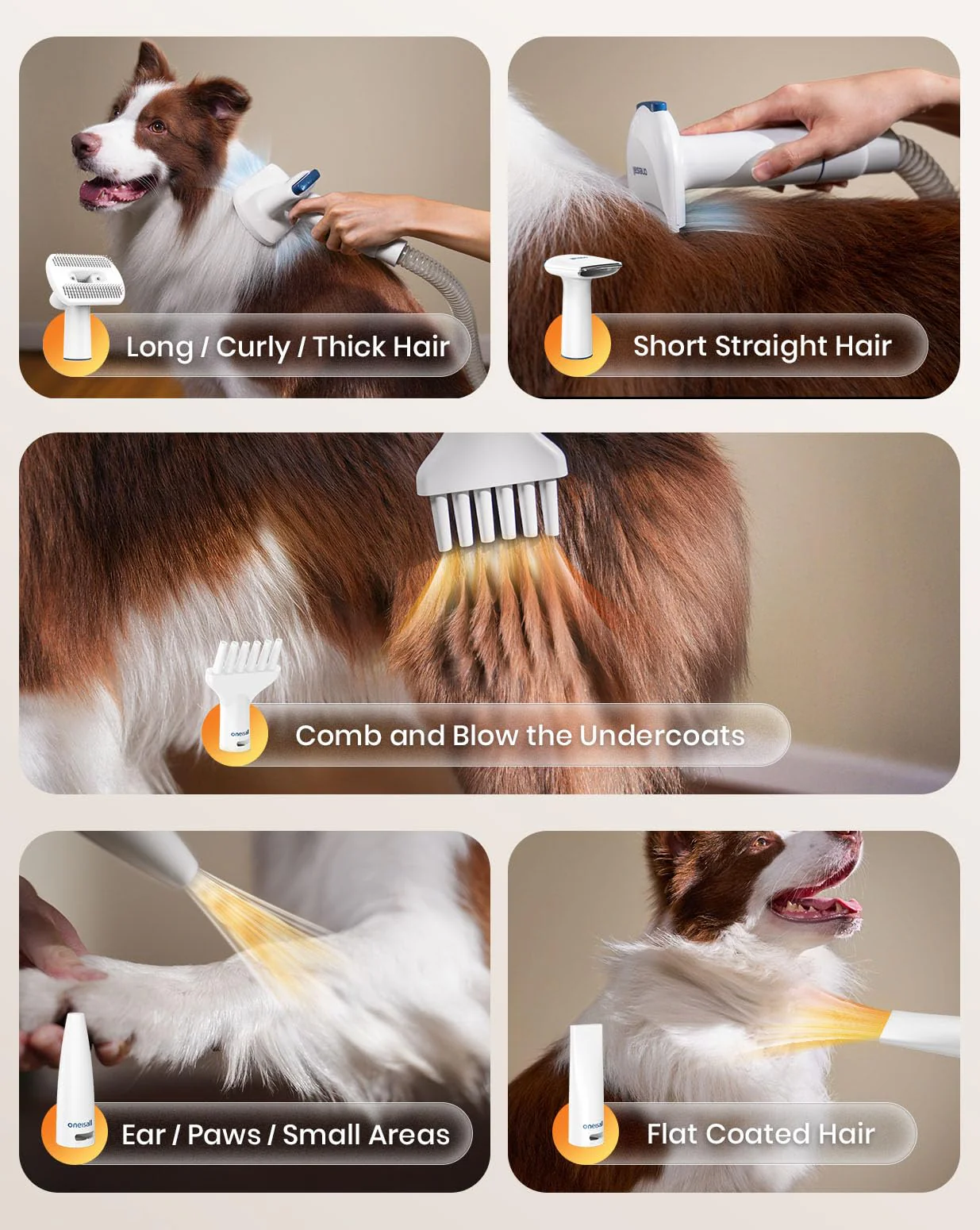 8-in-1 Dog Grooming Vacuum & Dryer, Pet Shedding and Grooming Kit for Hair Removal, Clipping and Drying - Image 5