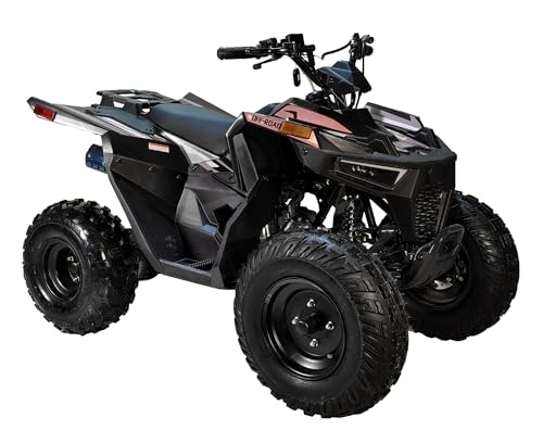 Sporty #CT-125E ATV 125cc ATVs for Youth & Adults Four Wheeler Utility Gas Power Sports Quad with Reverse Led Lights Big Tires 18/19 inches (Black)