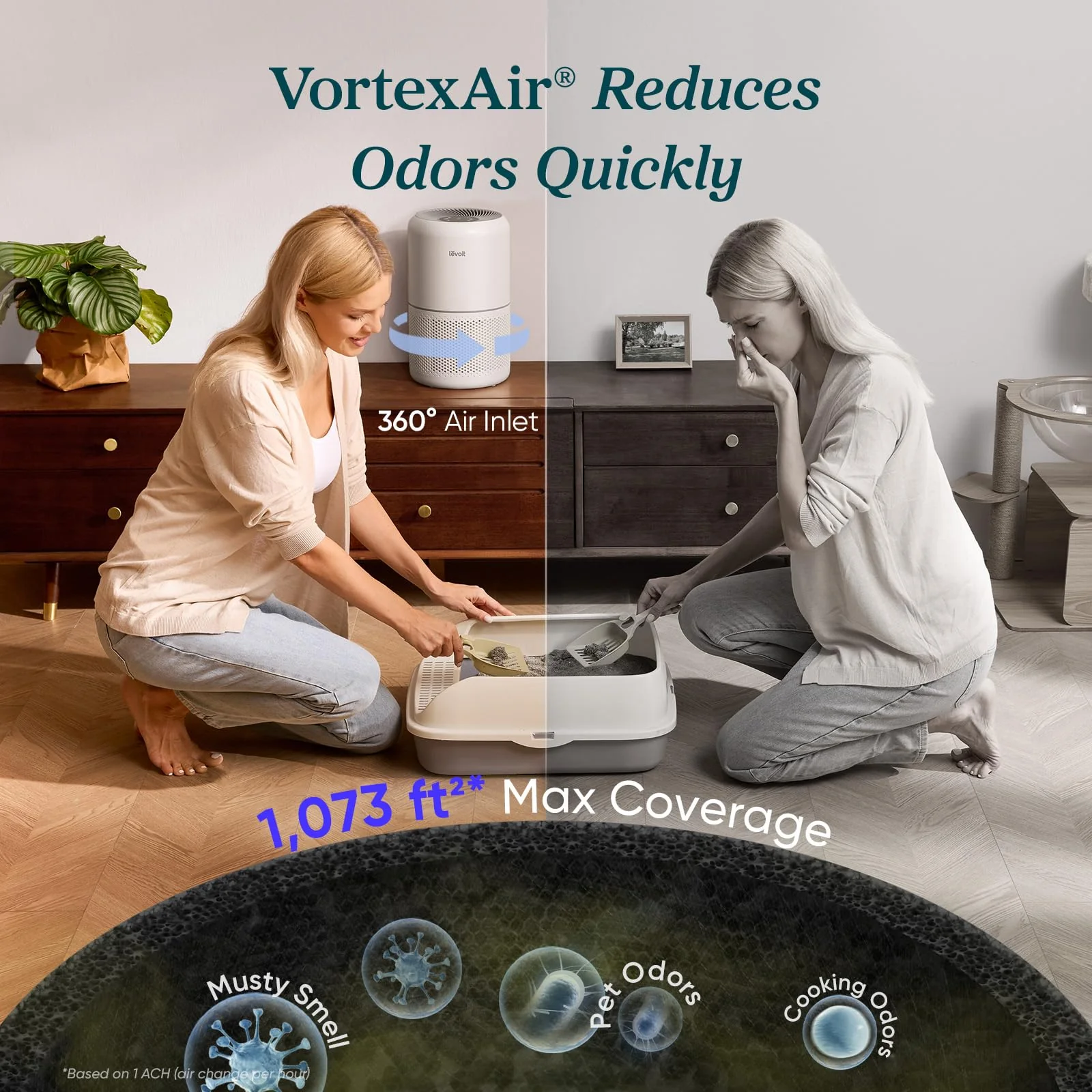 Air Purifier for Home, Compact Air Cleaner for Allergens, Dust, Pet Dander and Odors - Image 4